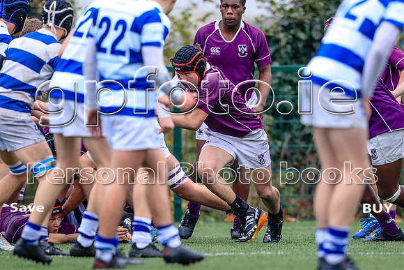 13-11-2024-A40I8157