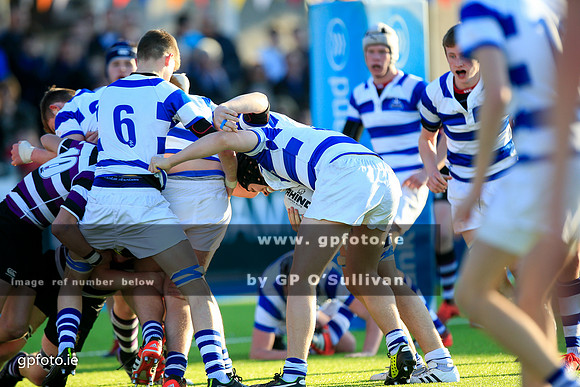 gpfoto.ie