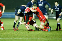 Scotland v Wales