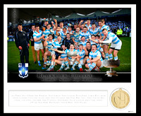 Team & Medal small