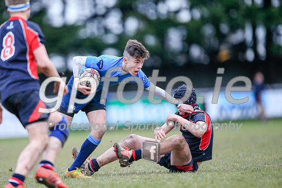 20150205-_P155052