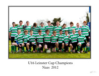 u16 naas leinster cup final