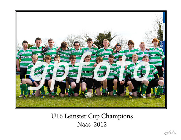 u16 naas leinster cup final