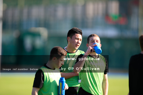 gpfoto.ie