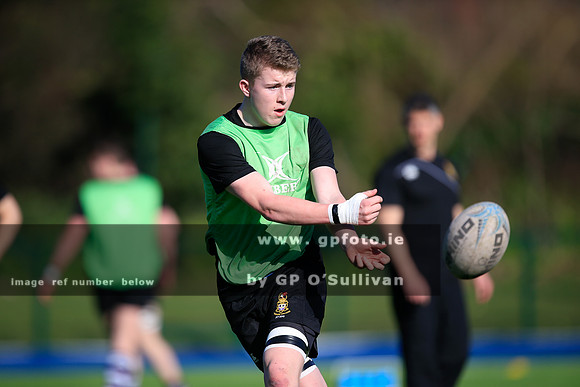 gpfoto.ie