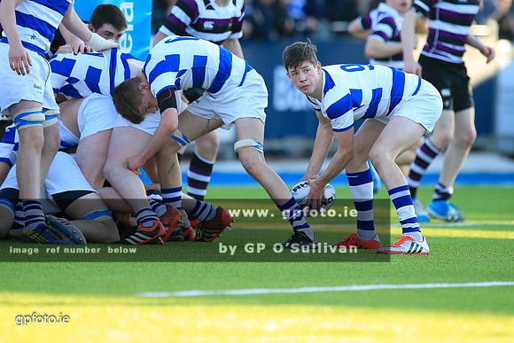 gpfoto.ie