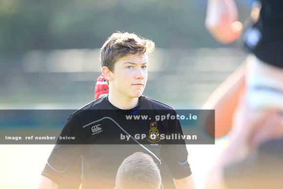 gpfoto.ie