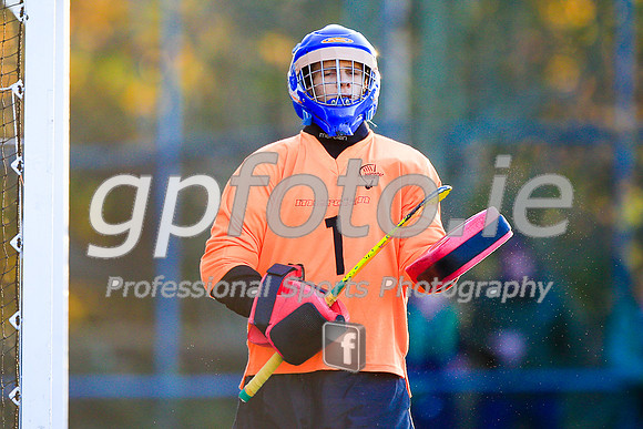 20141123-_P140834
