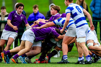 14-12-2024_ORL4016_10