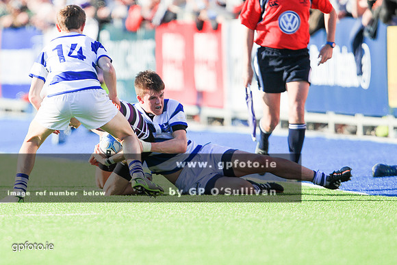 gpfoto.ie