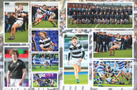 Collage 2