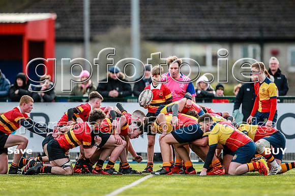 17-02-2022-CGJ29681