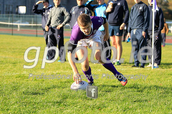20141024-_MB_8484