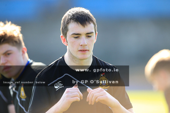 gpfoto.ie