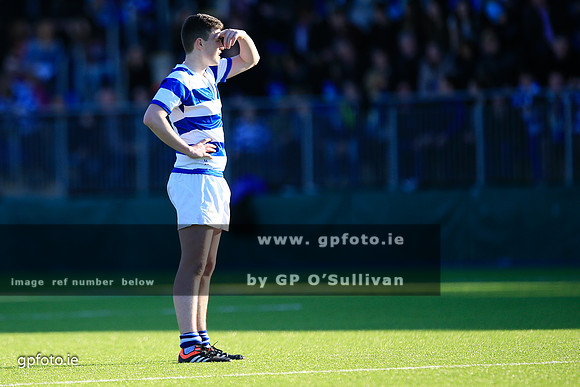 gpfoto.ie