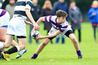 Clongowes v Belverdere (friendly)