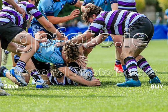 13-09-2025-C_K2D6641