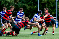 10-09-2025-C_K2D6556