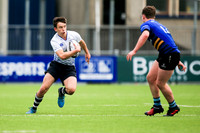 Blue v White