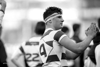 Clongowes v Kings Hospital JCT15
