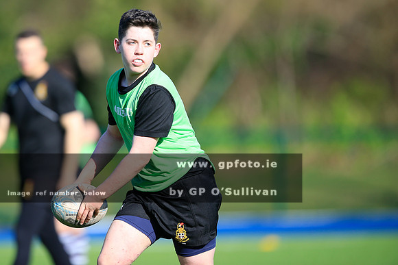 gpfoto.ie