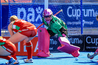 Wales v Belgium