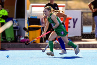 Ireland v Namibia