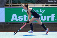 Ireland v India