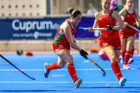 Wales v South Africa