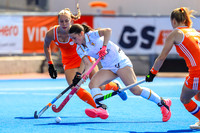 Belgium v  Netherlands SF