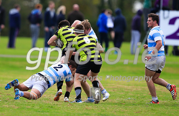 20141024-_P148370