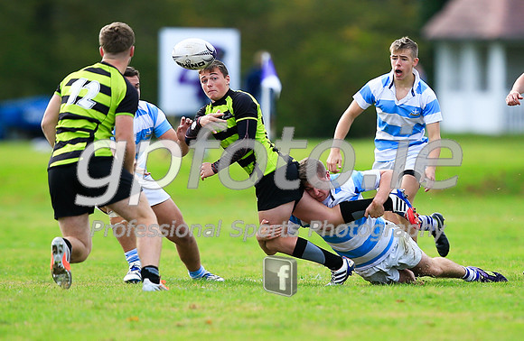 20141024-_P148331