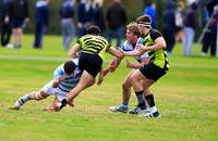 20141024-_P148365