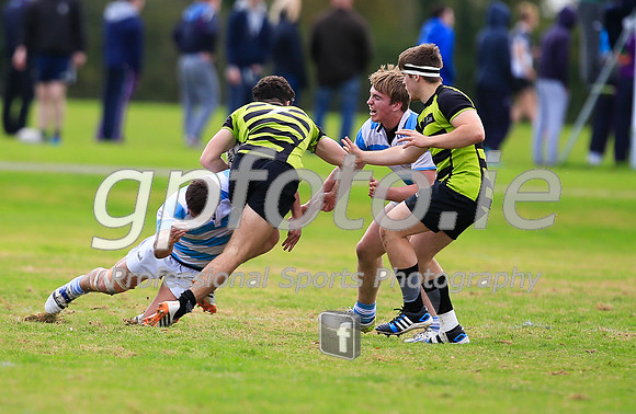 20141024-_P148365