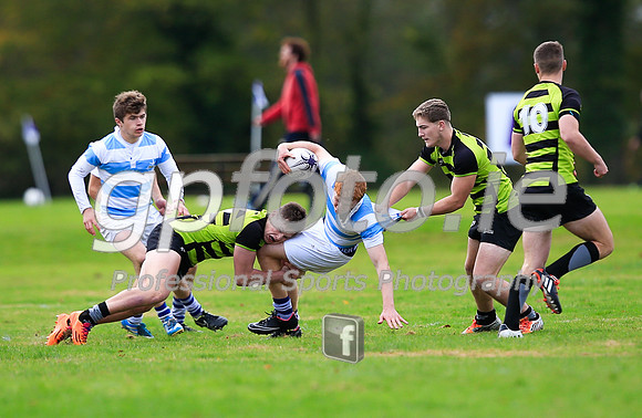 20141024-_P148390