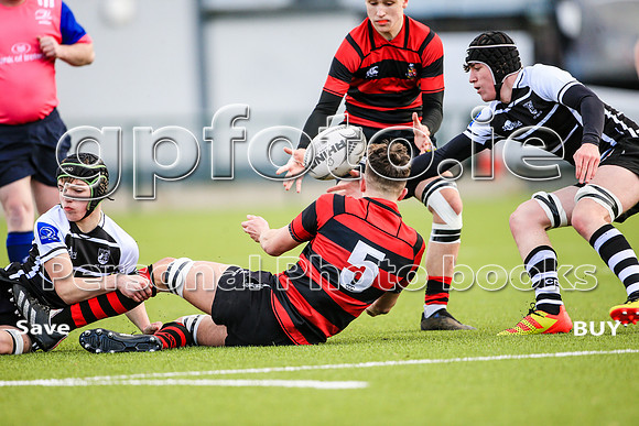 09-02-2022-SWYL1179
