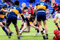 05-11-2021-CGJ28459