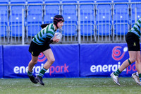 St. Gerards v Pres Bray JCT26