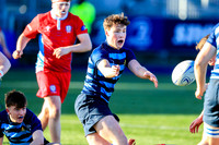 Castleknock v CUS