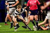 Belvedere v Clongowes JCT26