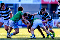 11-01-2026-G-MK2A6429