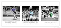 Nick Timoney SCT, Leinster & Ireland