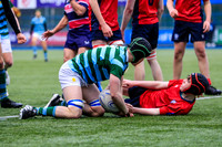 03-02-2026-G-MK2B9719
