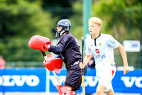 14-07-2019-CGJ26805.JPG