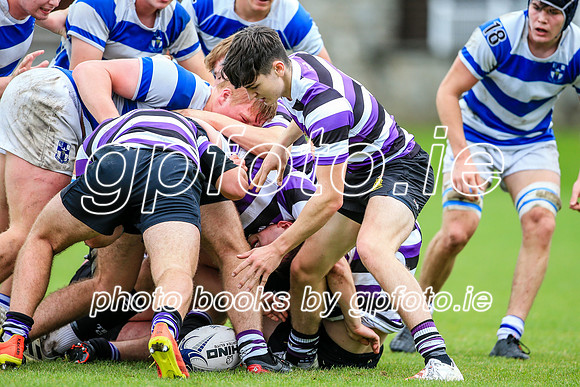 09-10-2021-SWYL2635