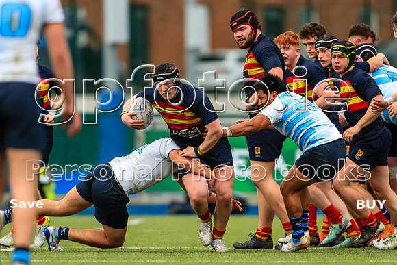 25-02-2026-Gav-MK2C9197