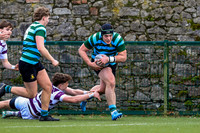 St. Gerard's v Clongowes SCT26