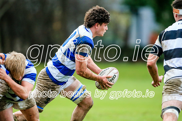 11-12-2021-CGJ20294