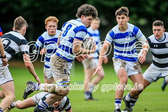 11-12-2021-CGJ20134