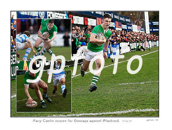 Harrys try